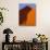 Tree and Soussevlei Sand Dune, Namibia-Joe Restuccia III-Photographic Print displayed on a wall