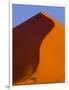 Tree and Soussevlei Sand Dune, Namibia-Joe Restuccia III-Framed Photographic Print