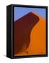 Tree and Soussevlei Sand Dune, Namibia-Joe Restuccia III-Framed Stretched Canvas