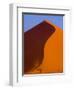 Tree and Soussevlei Sand Dune, Namibia-Joe Restuccia III-Framed Photographic Print