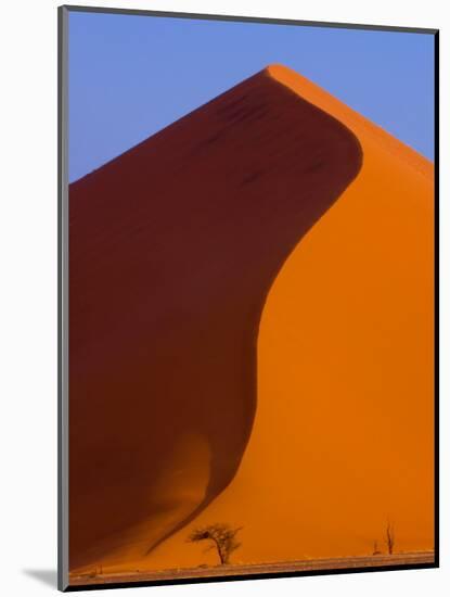 Tree and Soussevlei Sand Dune, Namibia-Joe Restuccia III-Mounted Photographic Print