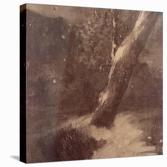 Tree and Stars-Odilon Redon-Stretched Canvas