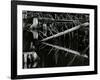 Tree and Water, High Sierra, c.1970-Brett Weston-Framed Photographic Print