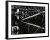 Tree and Water, High Sierra, c.1970-Brett Weston-Framed Photographic Print