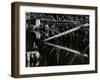 Tree and Water, High Sierra, c.1970-Brett Weston-Framed Premium Photographic Print