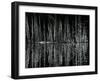 Tree and Water Reflection, High Sierra, c.1960-Brett Weston-Framed Premium Photographic Print