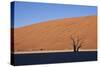 Tree at Deadvlei-jlombard-Stretched Canvas