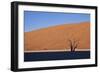 Tree at Deadvlei-jlombard-Framed Photographic Print