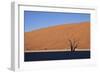 Tree at Deadvlei-jlombard-Framed Photographic Print