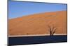 Tree at Deadvlei-jlombard-Mounted Photographic Print