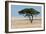 Tree at Etosha Pan-Ivana Tacikova-Framed Photographic Print