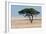 Tree at Etosha Pan-Ivana Tacikova-Framed Photographic Print