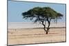 Tree at Etosha Pan-Ivana Tacikova-Mounted Photographic Print