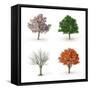 Tree at Four Seasons-Mike_Kiev-Framed Stretched Canvas