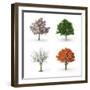 Tree at Four Seasons-Mike_Kiev-Framed Photographic Print