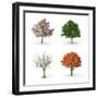 Tree at Four Seasons-Mike_Kiev-Framed Photographic Print