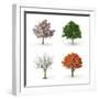 Tree at Four Seasons-Mike_Kiev-Framed Photographic Print