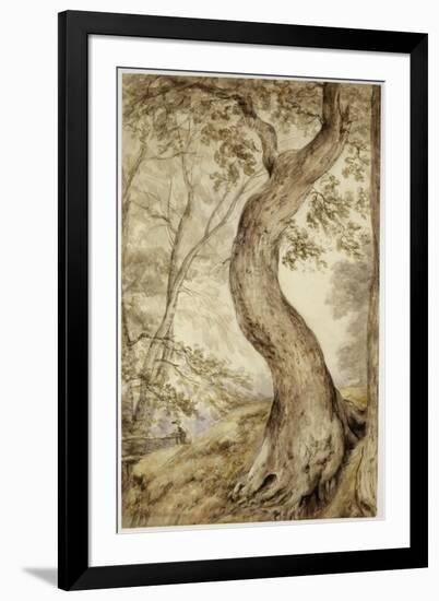 Tree at Helmingham, C.1800-John Constable-Framed Giclee Print