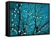 Tree at Night with Lights-Myan Soffia-Framed Stretched Canvas