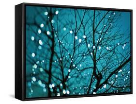 Tree at Night with Lights-Myan Soffia-Framed Stretched Canvas