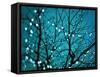 Tree at Night with Lights-Myan Soffia-Framed Stretched Canvas