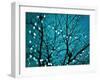 Tree at Night with Lights-Myan Soffia-Framed Premium Photographic Print