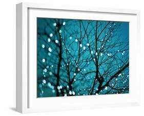 Tree at Night with Lights-Myan Soffia-Framed Premium Photographic Print