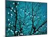 Tree at Night with Lights-Myan Soffia-Mounted Premium Photographic Print