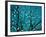 Tree at Night with Lights-Myan Soffia-Framed Photographic Print