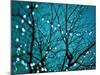 Tree at Night with Lights-Myan Soffia-Mounted Photographic Print