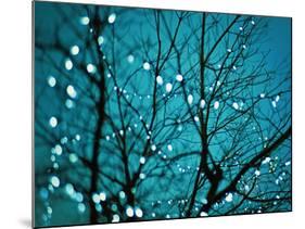 Tree at Night with Lights-Myan Soffia-Mounted Photographic Print