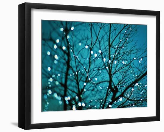 Tree at Night with Lights-Myan Soffia-Framed Photographic Print