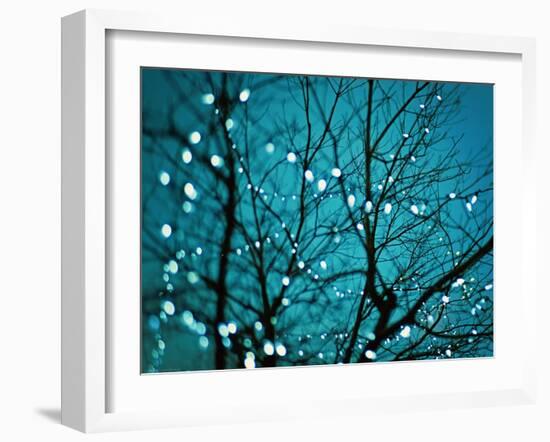 Tree at Night with Lights-Myan Soffia-Framed Photographic Print