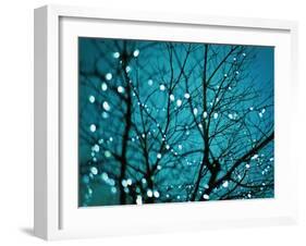 Tree at Night with Lights-Myan Soffia-Framed Photographic Print