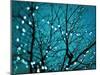 Tree at Night with Lights-Myan Soffia-Mounted Photographic Print