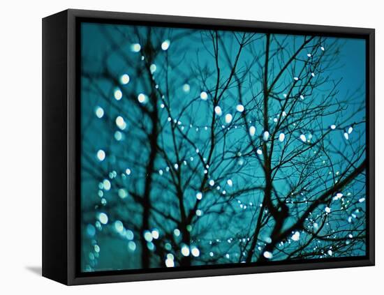 Tree at Night with Lights-Myan Soffia-Framed Stretched Canvas