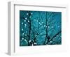 Tree at Night with Lights-Myan Soffia-Framed Photographic Print