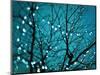 Tree at Night with Lights-Myan Soffia-Mounted Photographic Print