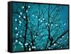 Tree at Night with Lights-Myan Soffia-Framed Stretched Canvas