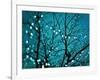 Tree at Night with Lights-Myan Soffia-Framed Photographic Print