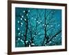 Tree at Night with Lights-Myan Soffia-Framed Photographic Print