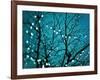 Tree at Night with Lights-Myan Soffia-Framed Photographic Print