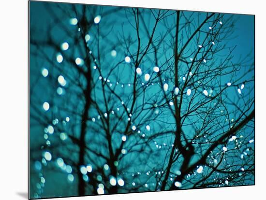 Tree at Night with Lights-Myan Soffia-Mounted Photographic Print