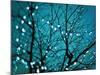 Tree at Night with Lights-Myan Soffia-Mounted Photographic Print