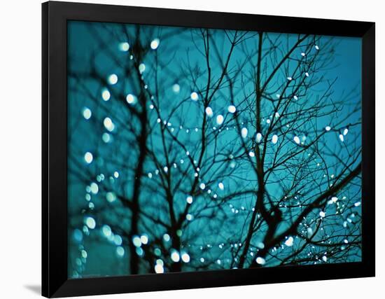 Tree at Night with Lights-Myan Soffia-Framed Photographic Print