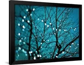 Tree at Night with Lights-Myan Soffia-Framed Photographic Print