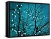 Tree at Night with Lights-Myan Soffia-Framed Stretched Canvas