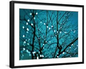 Tree at Night with Lights-Myan Soffia-Framed Photographic Print