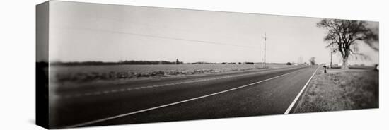 Tree at the Roadside, Maryland, USA-null-Stretched Canvas