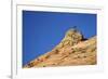 Tree Atop a Sandstone Hill, Zion National Park, Utah, United States of America, North America-James Hager-Framed Photographic Print
